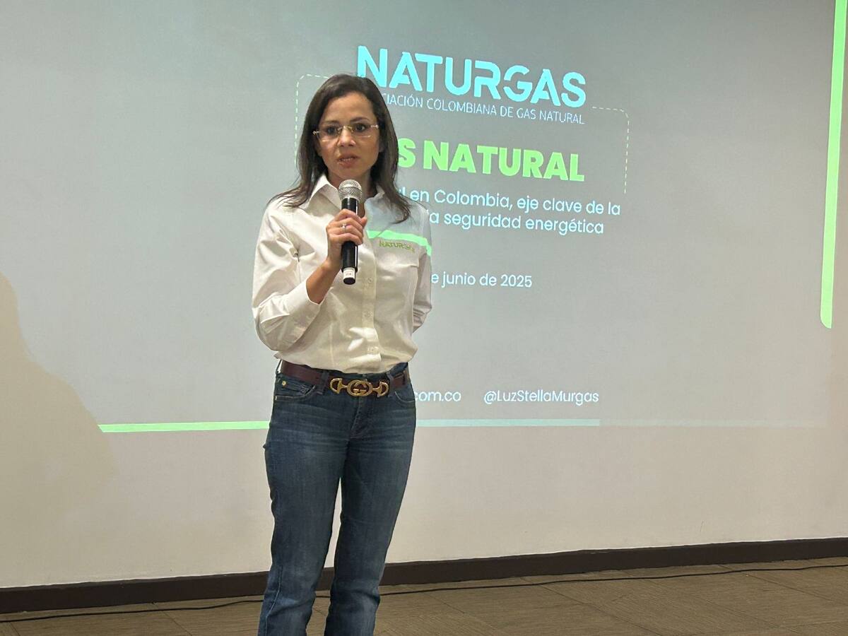 El reclamo de Naturgas al Gobierno por no revertir en la disminución de pozos exploratorios