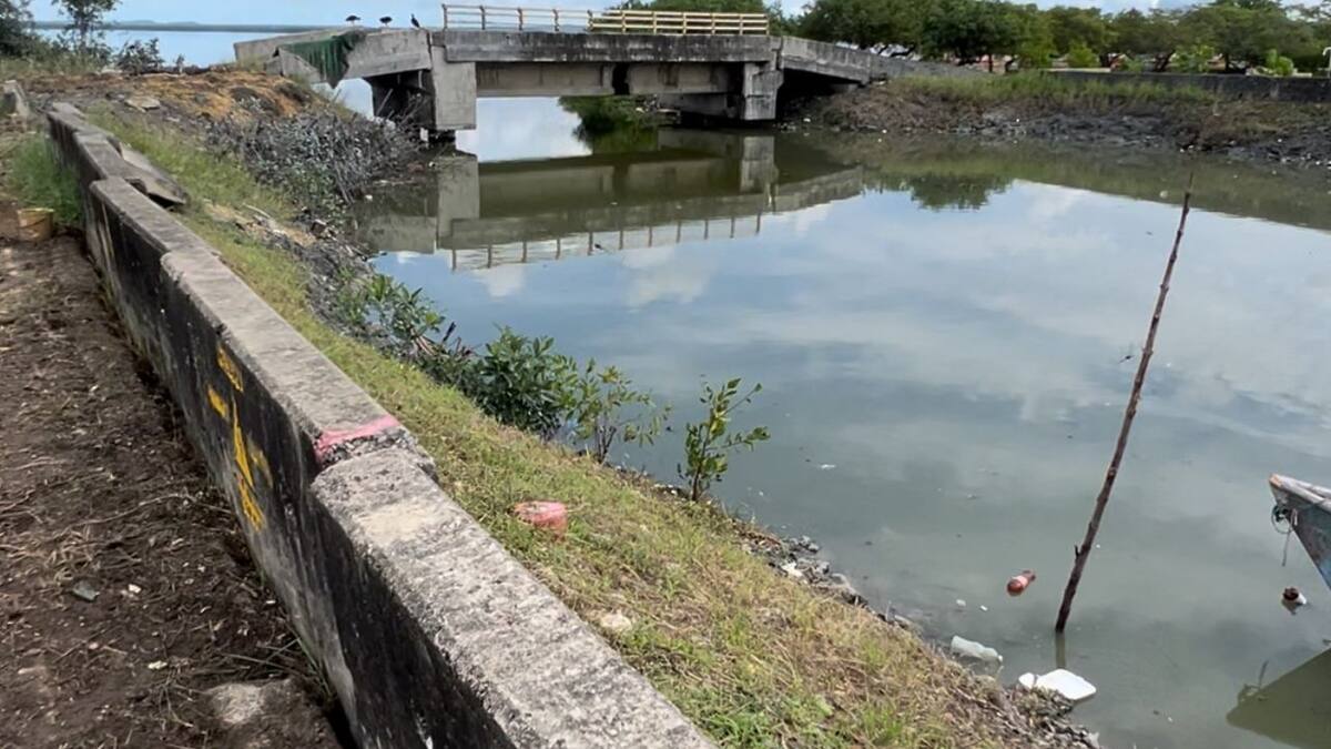 EPA Cartagena invita a la jornada “Por una Perimetral verde”