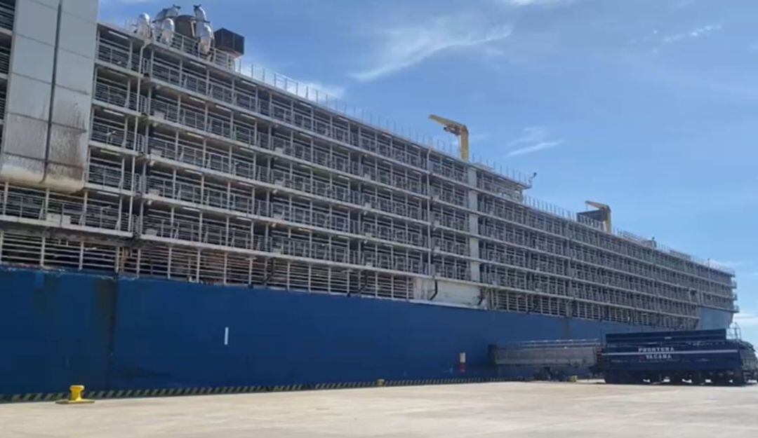 Barco exportador de ganado en pie