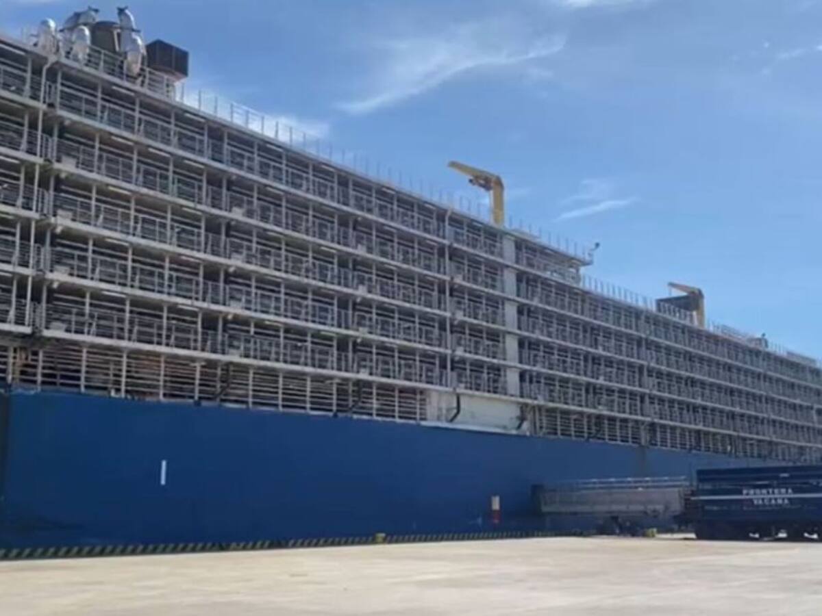 Gobierno debe reglamentar exportación de ganado en pie: Ganaderos Magdalena
