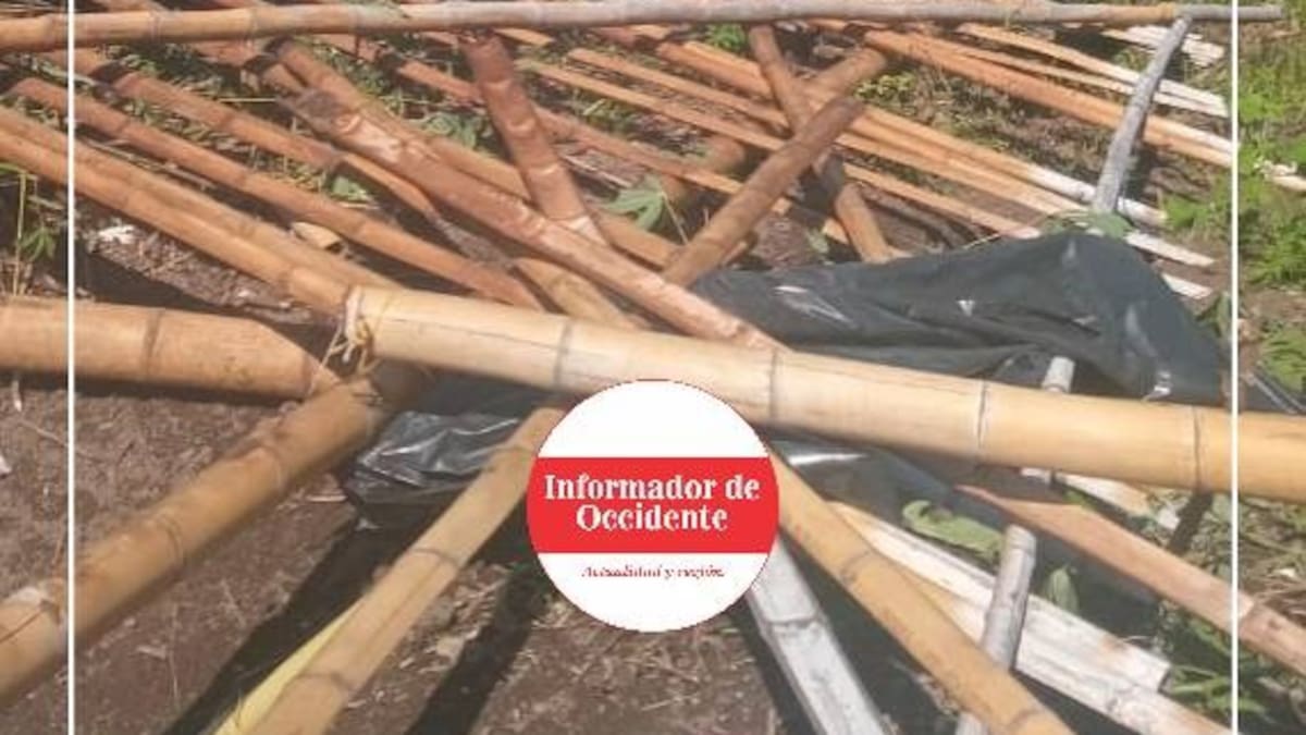 Vendaval deja tres viviendas destruidas y un menor de edad lesionado en Anserma, Caldas