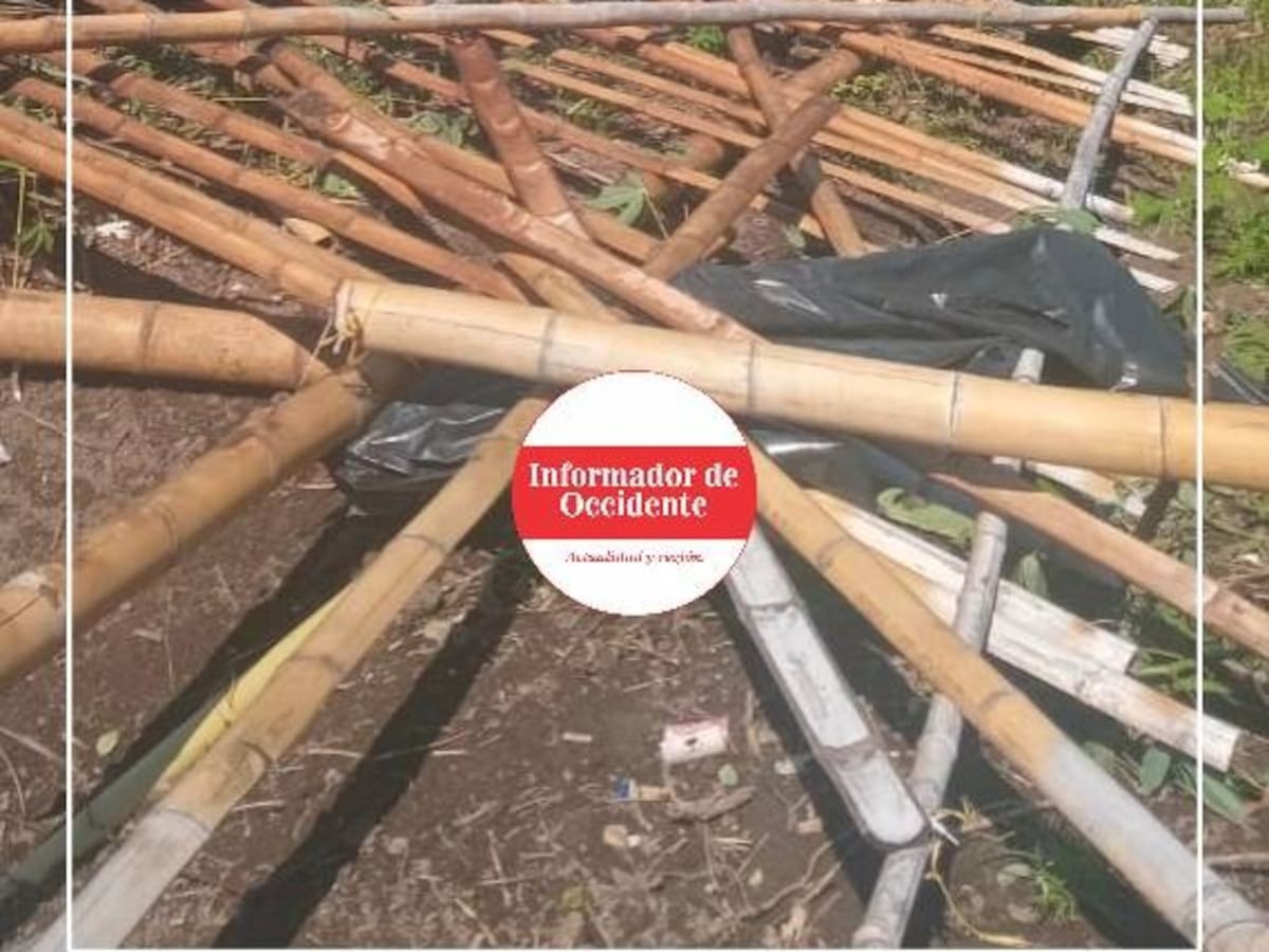 Vendaval deja tres viviendas destruidas y un menor de edad lesionado en Anserma, Caldas