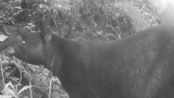 José Manuel Cortés, director CRQ, Quindío