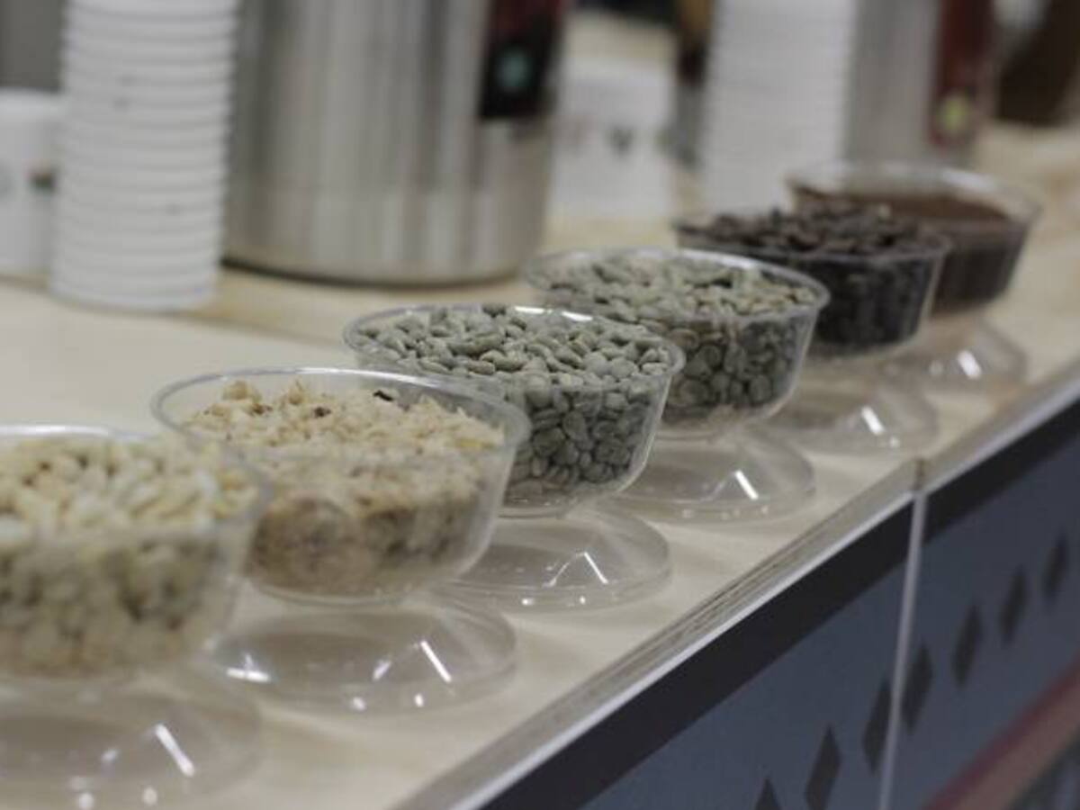 El clima y los precios afectan la producción cafetera colombiana