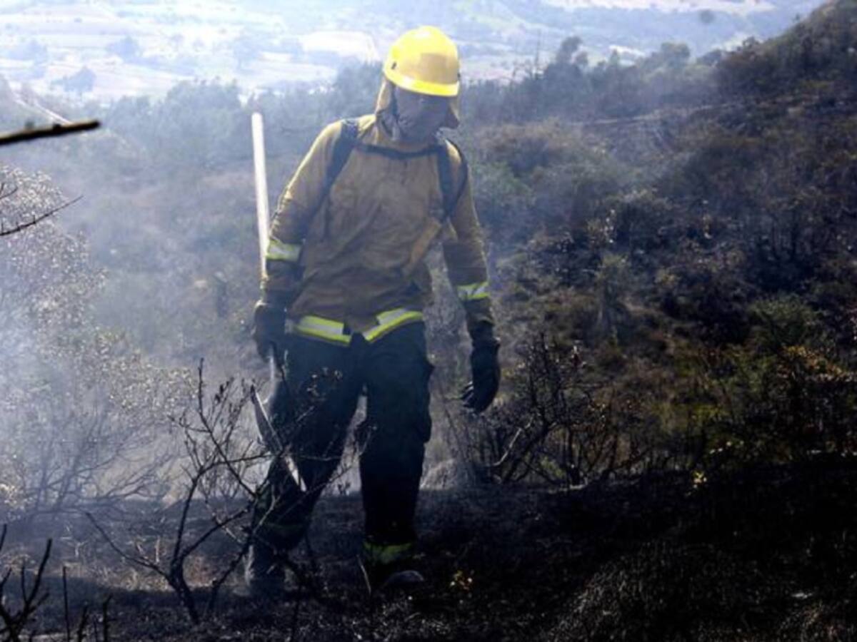 Organismos de socorro vigilan incendios en zona fronteriza con Venezuela