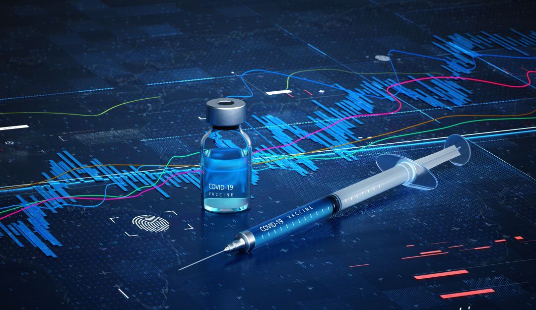 Imagen de referencia 