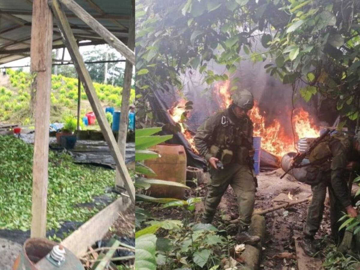 Destruyen más de 200 laboratorios para la producción de cocaína en Nariño