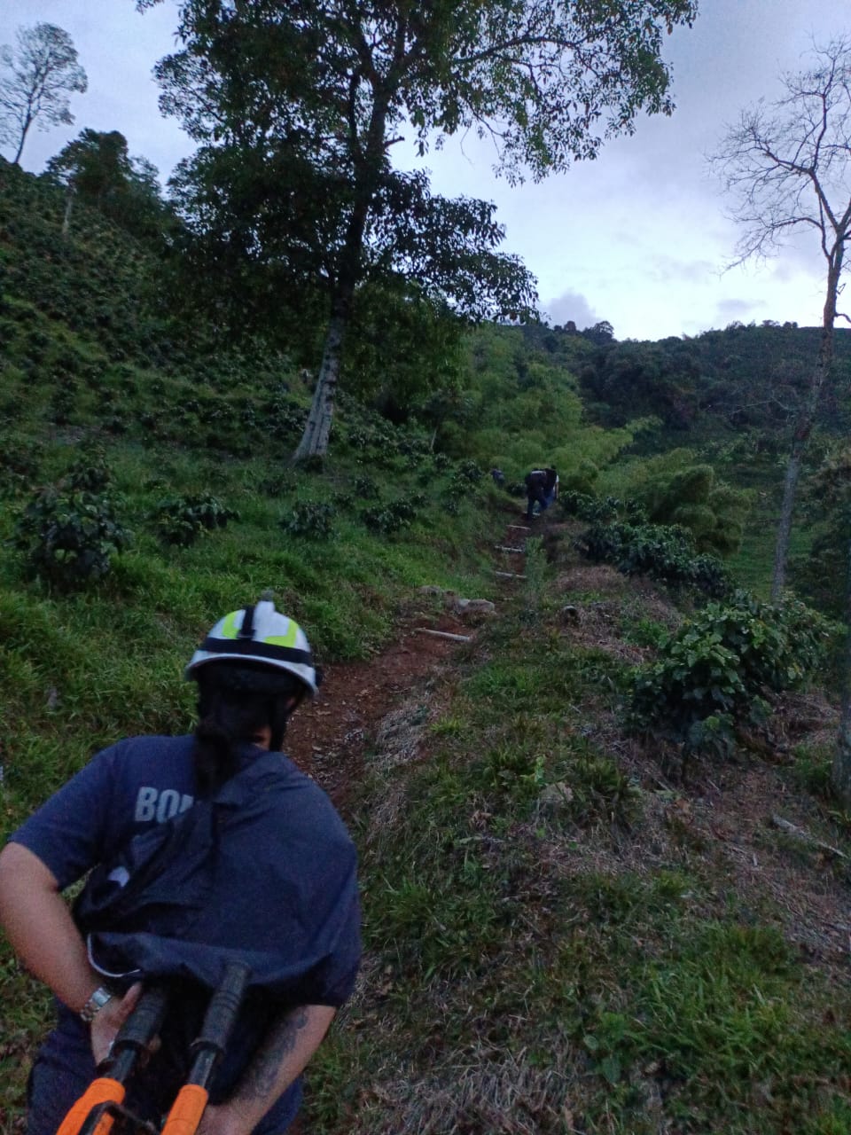 Foto bomberos Fredonia