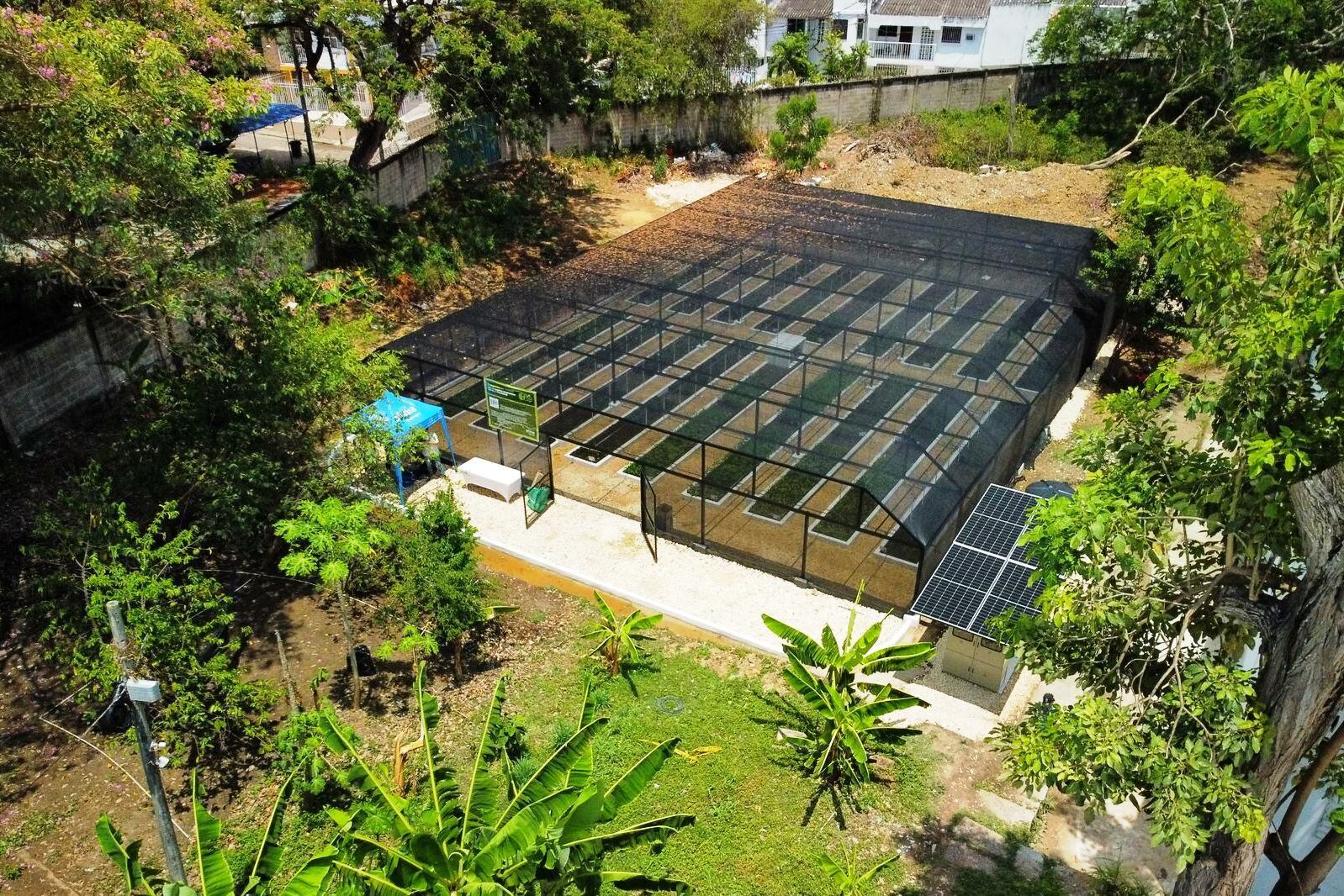 Vivero Bioclimático del Inem cuenta con más de 25 mil plántulas frutales y maderables para Cartagena