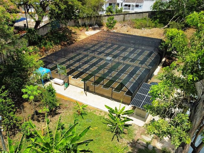 Vivero Bioclimático del Inem cuenta con más de 25 mil plántulas frutales y maderables para Cartagena