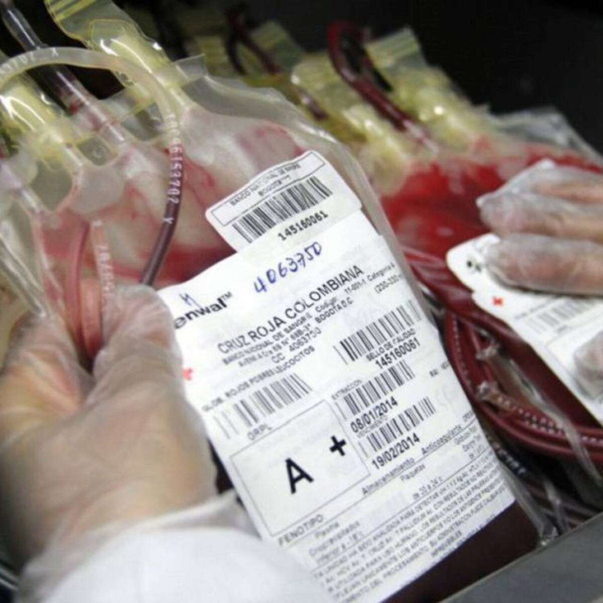 Meta de donantes de sangre en el Valle del Cauca no se cumplió en el 2020
