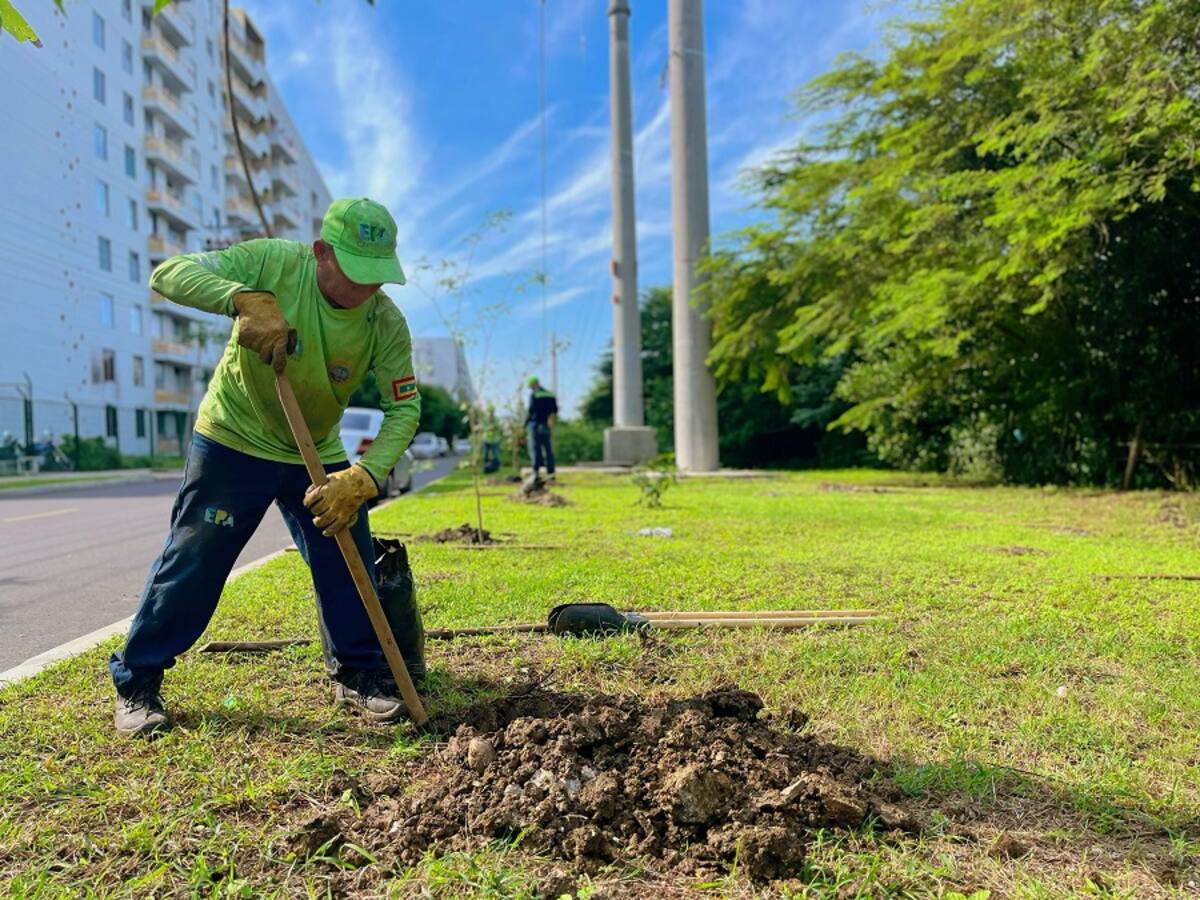 200 árboles fueron sembrados en la zona verde lineal frente al Condominio Guanabara