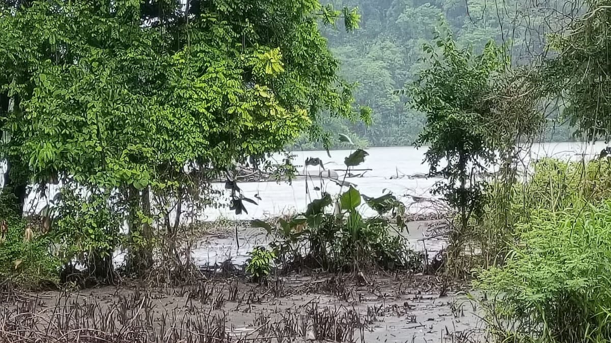 Esto responde Cenit, filial de Ecopetrol, a denuncias de daño ambiental en Puerto Boyacá