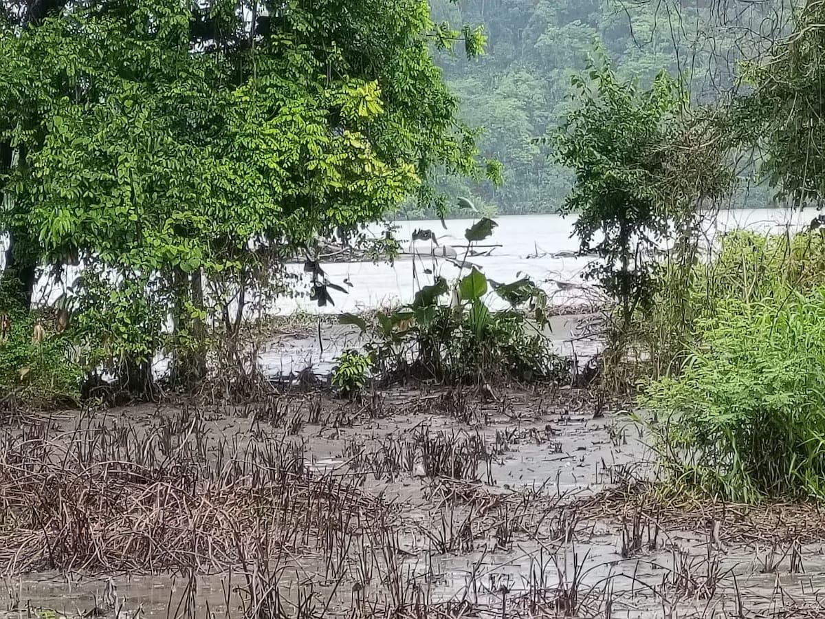 Esto responde Cenit, filial de Ecopetrol, a denuncias de daño ambiental en Puerto Boyacá