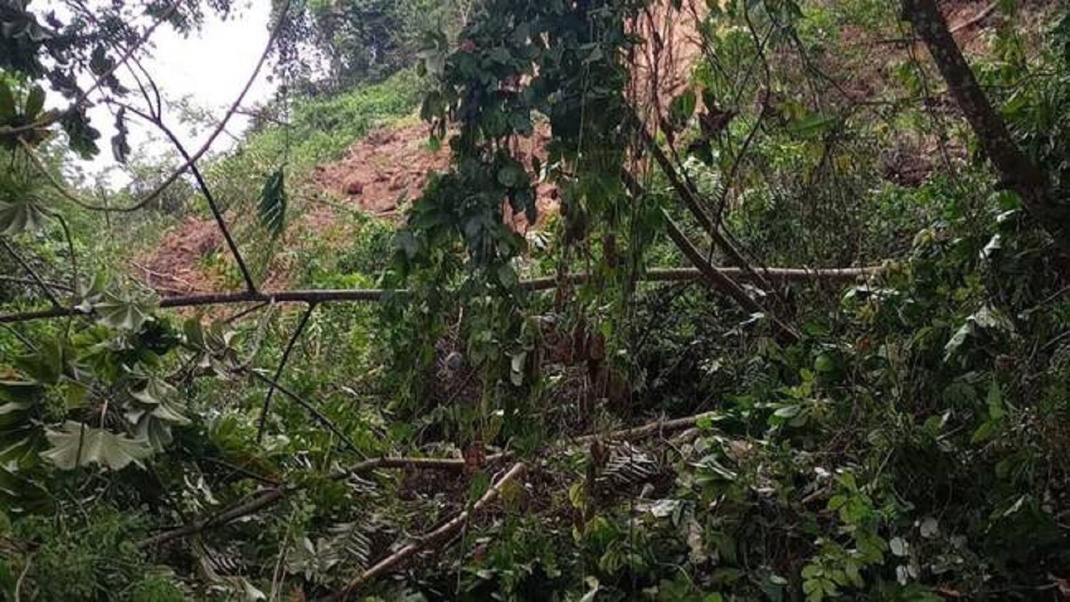 Crédito: Secretaría de Medio Ambiente de Caldas.