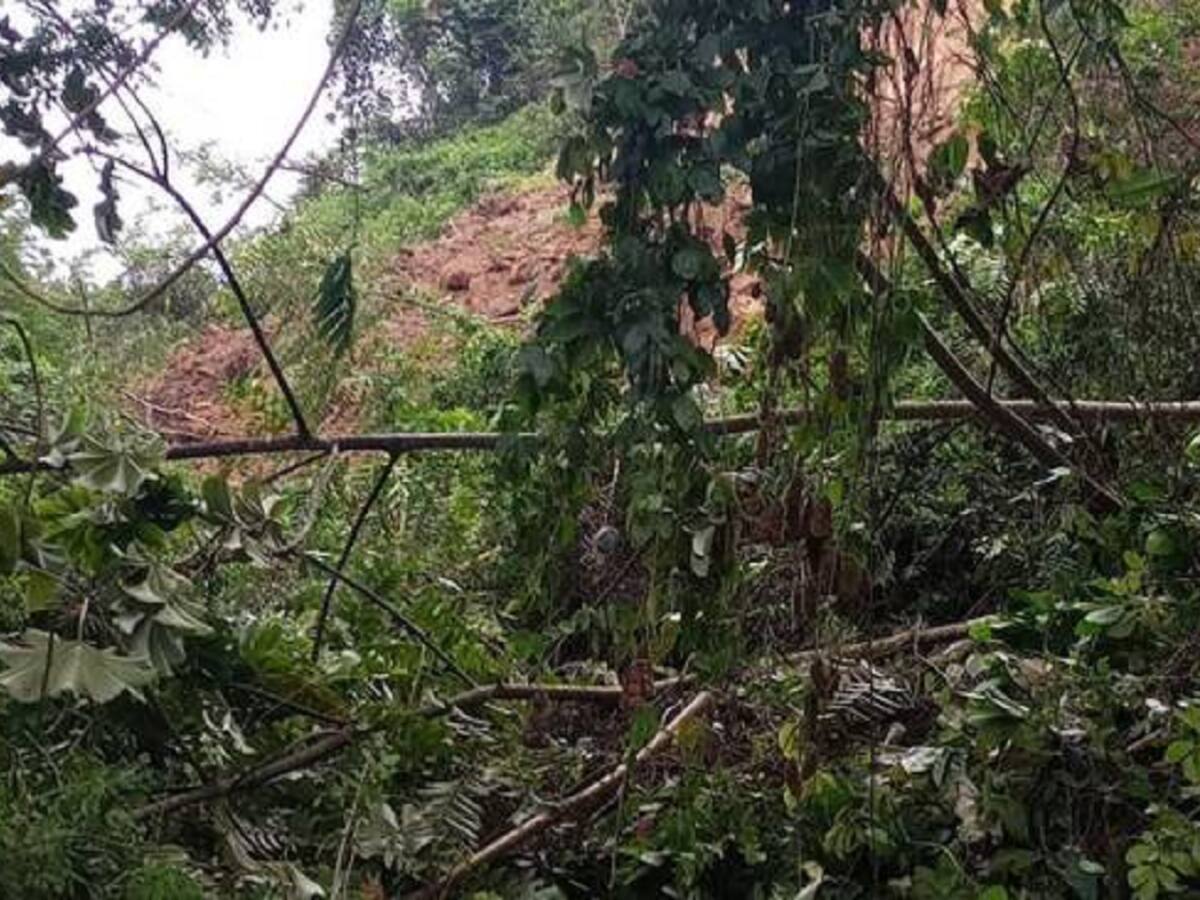 Derrumbe de grandes proporciones bloquea la vía Salamina - Aranzazu en Caldas