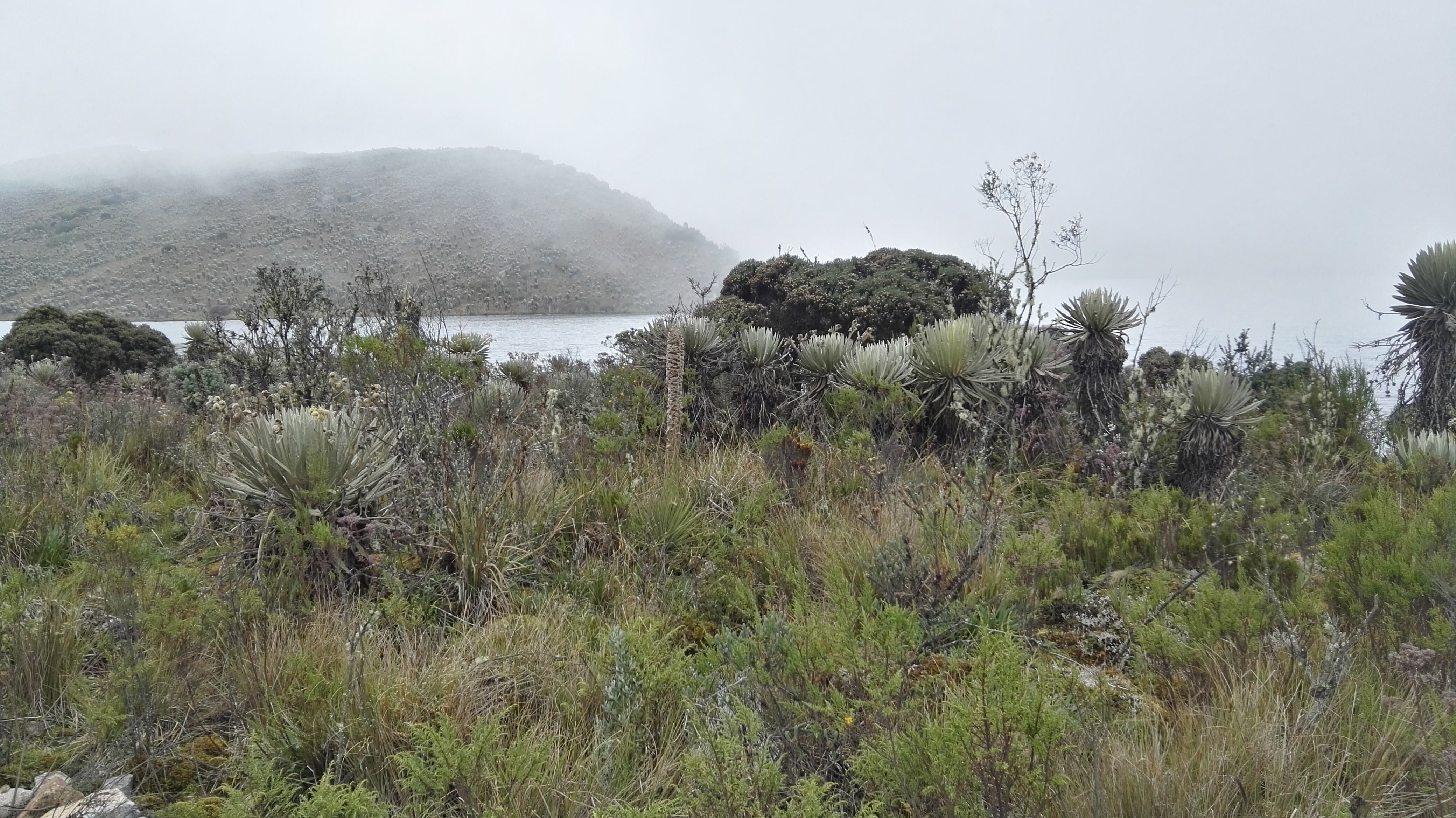 Páramo de Sumapaz (Getty Images)