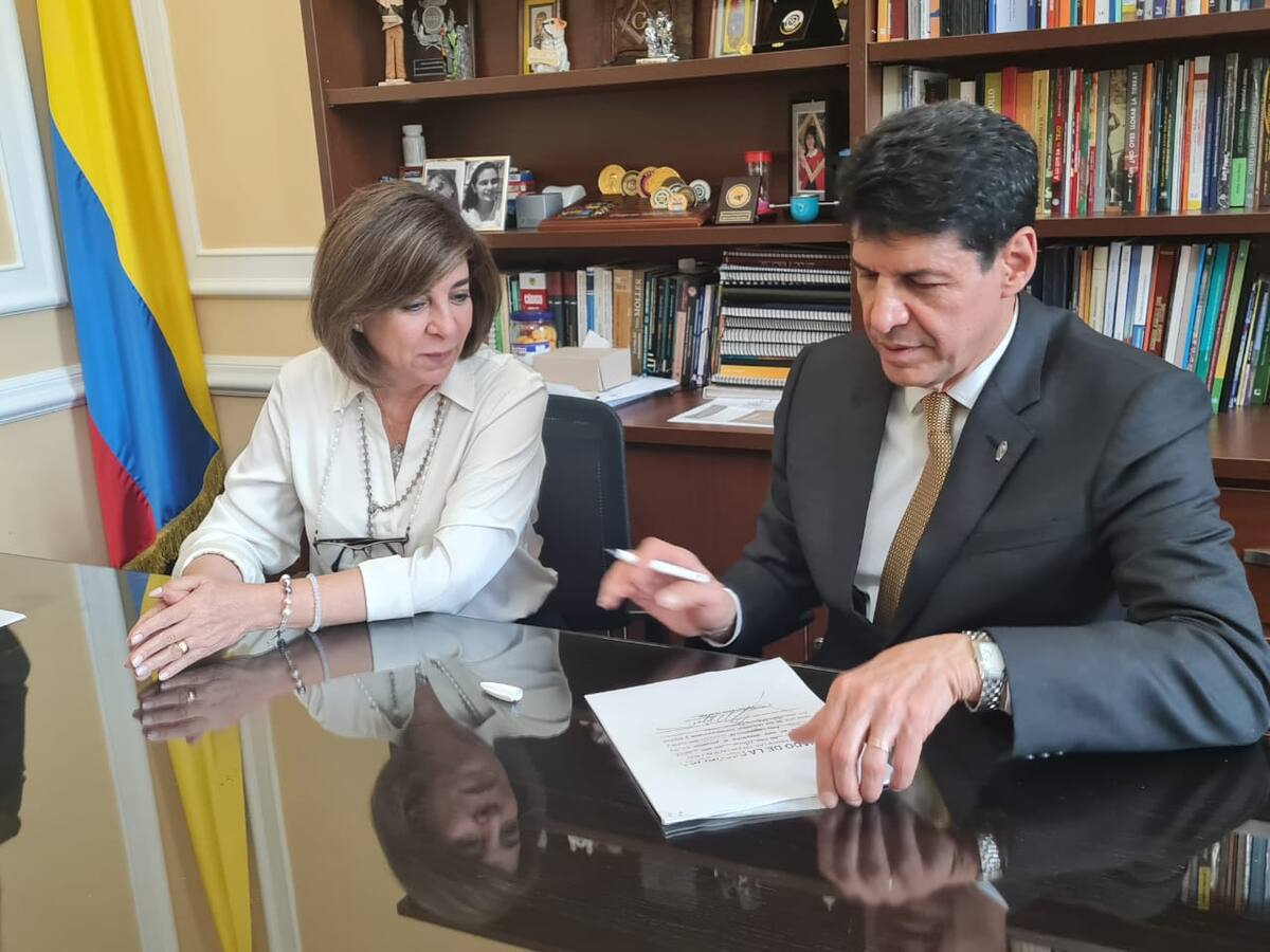 Educación con valores: el polémico proyecto de ley que busca adoptar el amor como base de la convivencia familiar