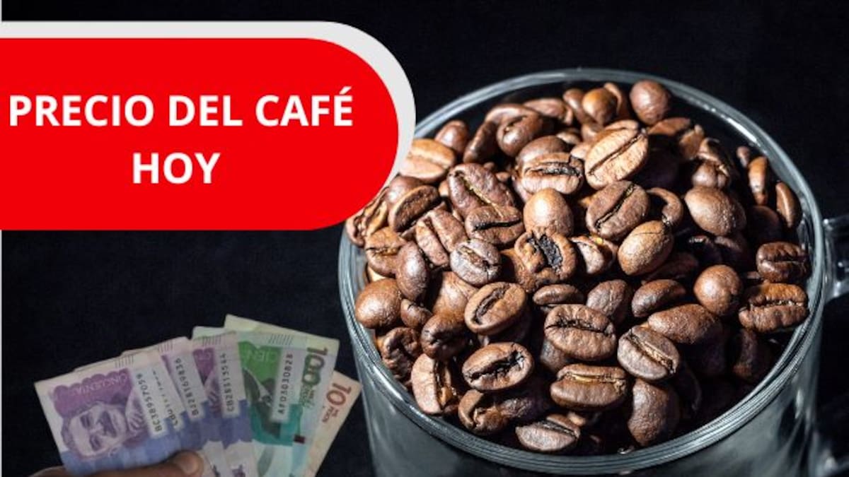 Precio del café HOY, 17 de junio, en Colombia según la Federación Nacional de Cafeteros