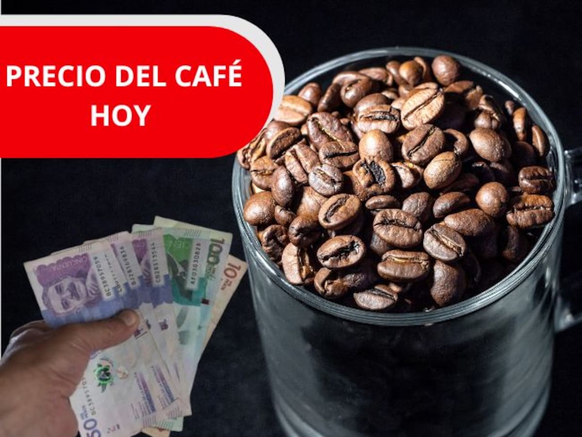 Precio del café HOY, 17 de junio, en Colombia según la Federación Nacional de Cafeteros