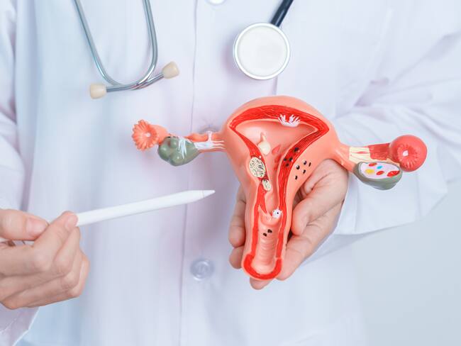 ¿Cómo se realizó el primer ‘autotransplante’ de útero en España? Ginecóloga da detalles