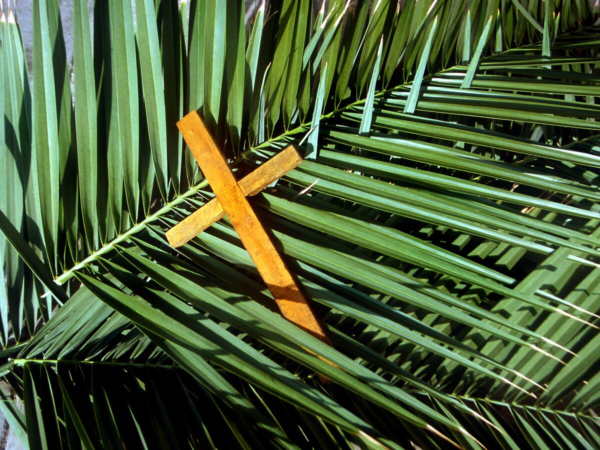 Domingo de Ramos 2023: Significado y programación de la misa de Papa por TV