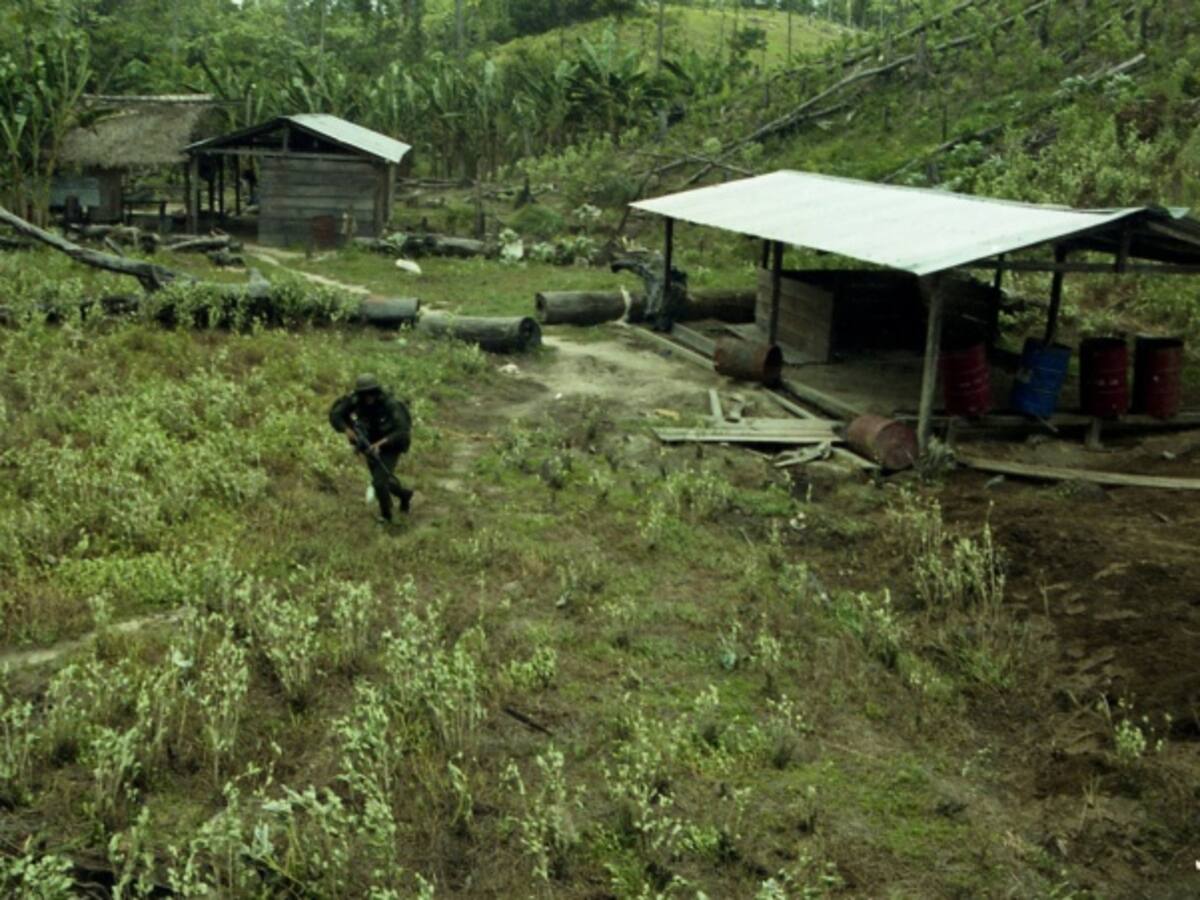 Policía contará plantaciones de coca con aviones