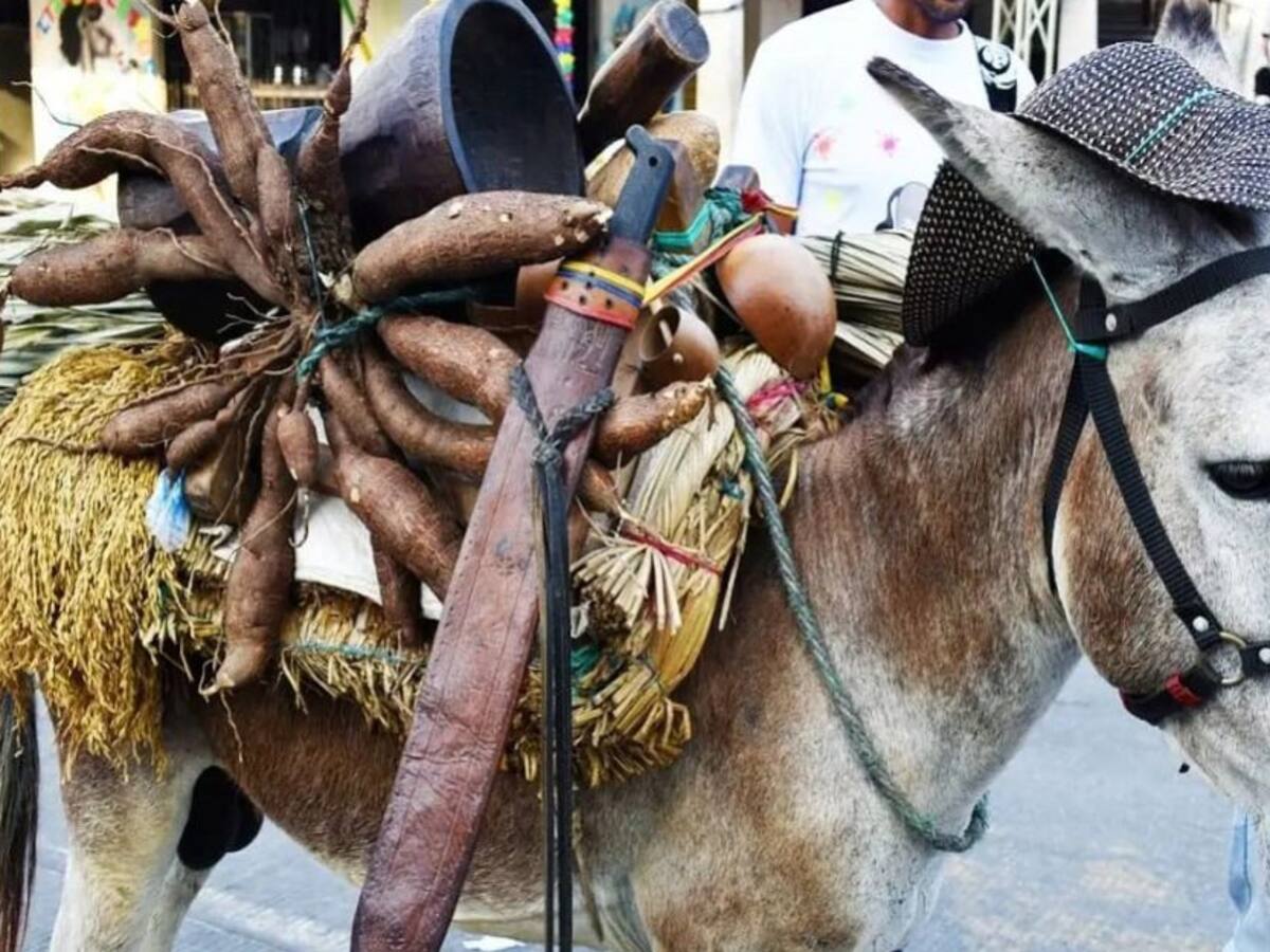 Por baja cobertura de vacunación cancelan eventos del Festival del Burro