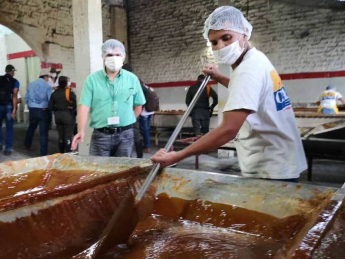 Risaralda ocupa el quinto lugar del país en producción panelera