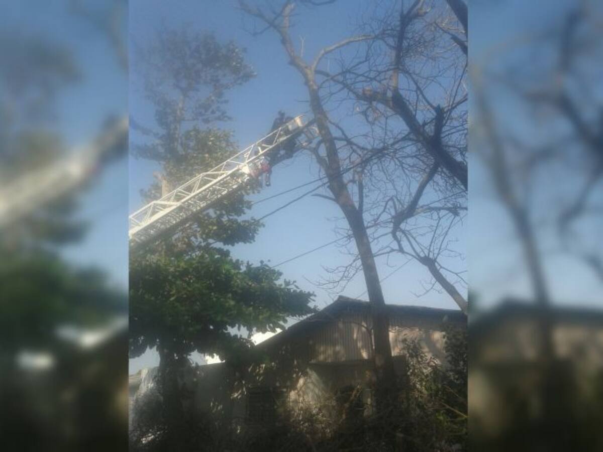 Incendio forestal en Sabanalarga