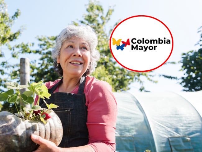 ¿Habrá pago doble de Colombia Mayor en febrero? Prosperidad Social anunció cambio en transferencias. Getty Images