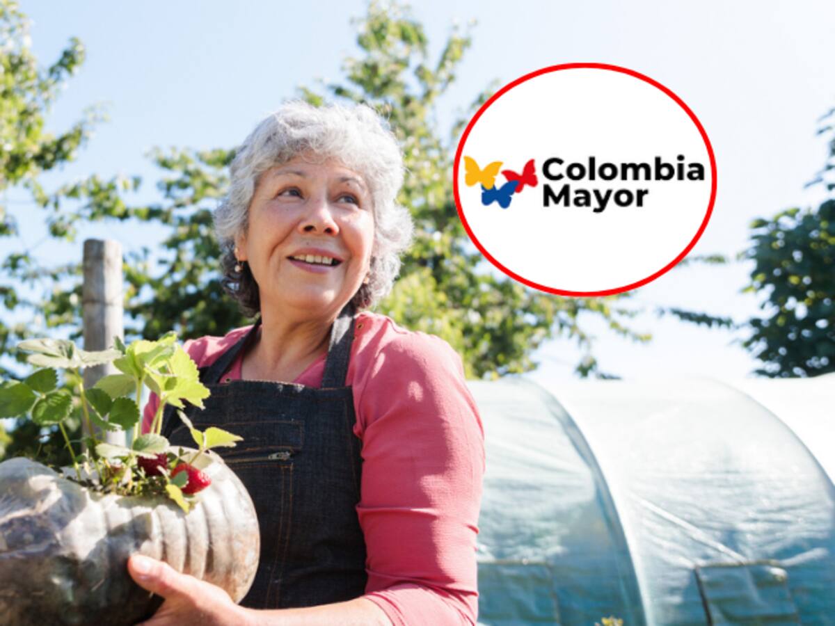 ¿Habrá pago doble de Colombia Mayor en febrero? Prosperidad Social anunció cambio en transferencias