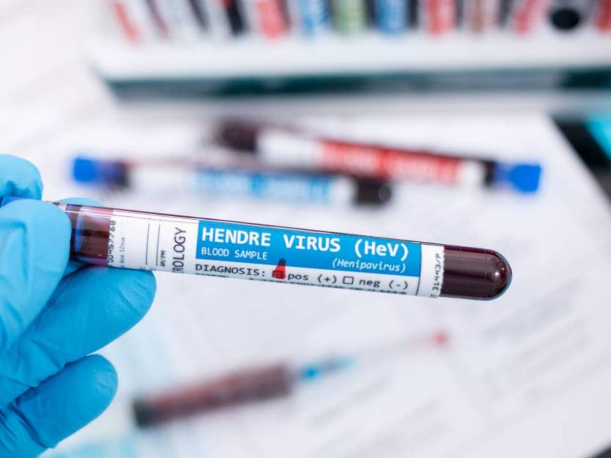 Detectan en China 35 casos en humanos de nuevo virus de origen animal