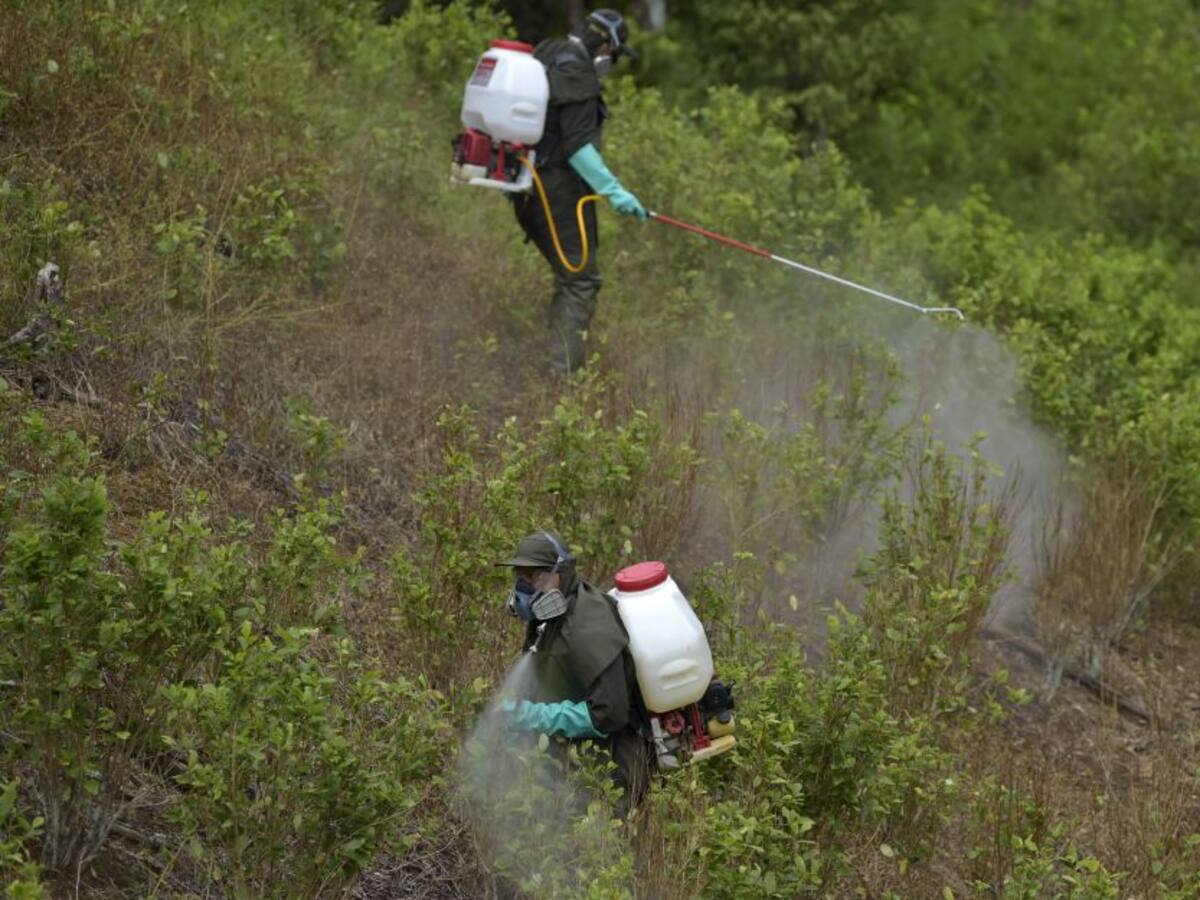 Departamento de Estado respalda lucha antidrogas de Colombia ante Congreso