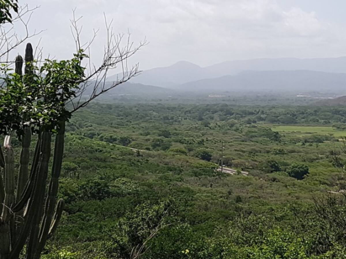 Los negocios verdes, la alternativa que deja más de 7.000 empleos