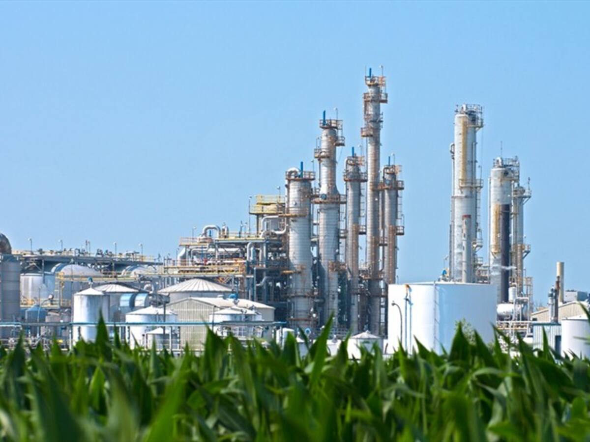 Fallo de responsabilidad fiscal por 1.070 billones de pesos por caso Bioenergy