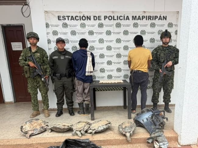 La Armada recupera 13 babillas, 5 tortugas Galápago y 139 huevos de la misma especie