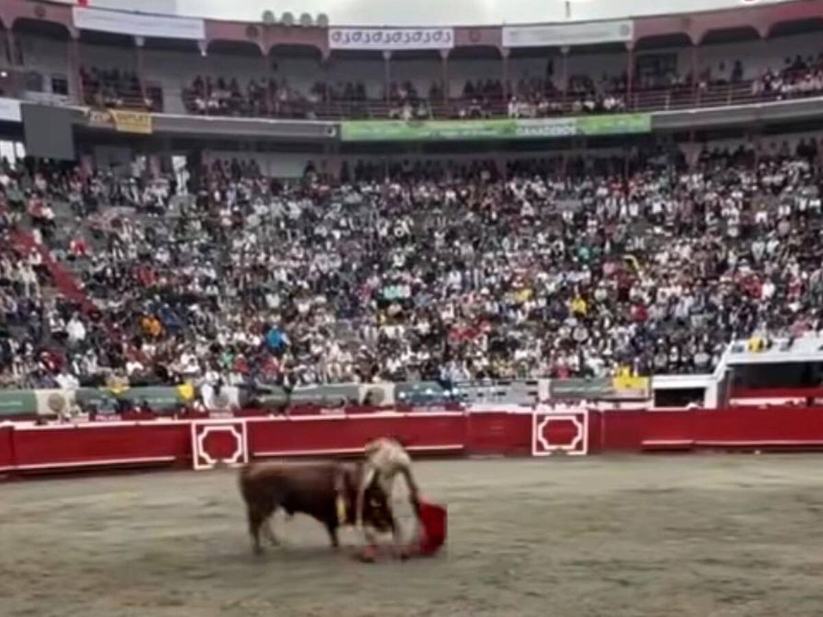 Torero sufrió cornada en la primera corrida de la Feria Taurina de Manizales