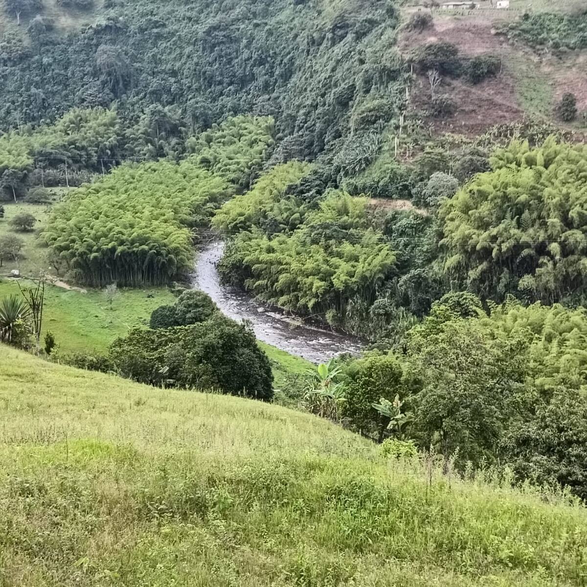 Jueves 5 de junio, las noticias más importantes de Armenia y Quindío