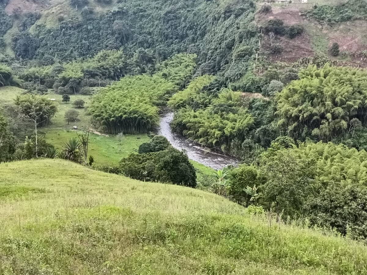 Jueves 5 de junio, las noticias más importantes de Armenia y Quindío