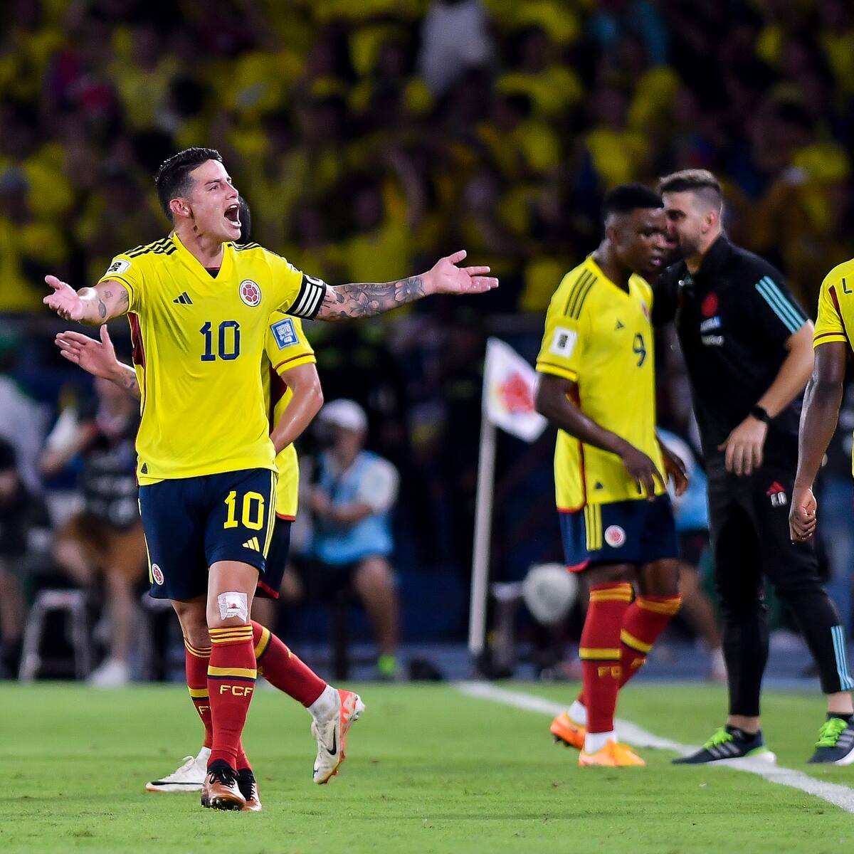 Selección Colombia: confirmadas las sedes para los amistosos ante España y Rumania