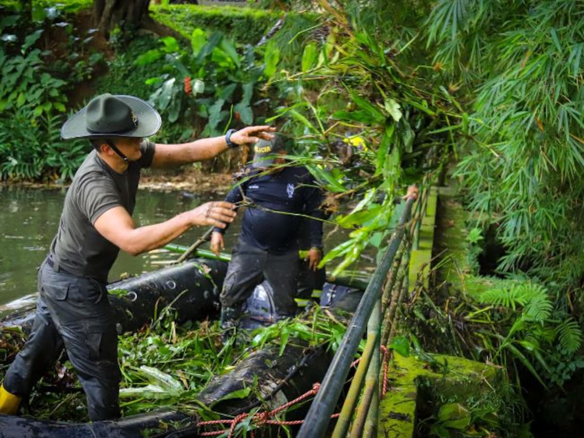 Intervienen el Lago de las Babillas para proteger especies silvestres en Bucaramanga