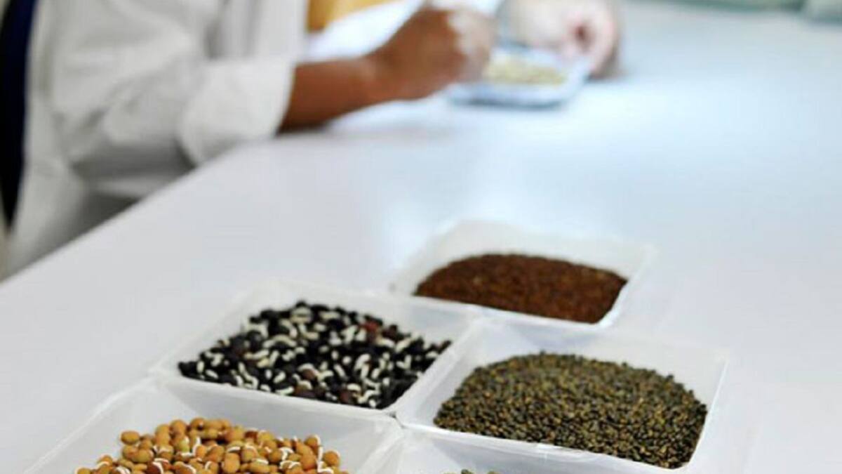 Con visita presidencial se inaugura banco de semillas en el CIAT