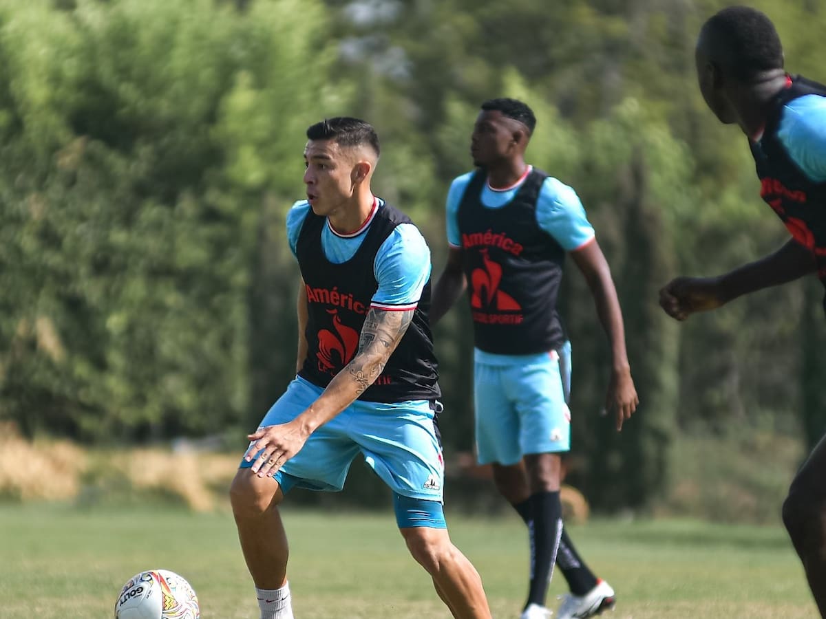 Ataque en la sede del América: Abejas africanas causaron daños y heridos en Cascajal