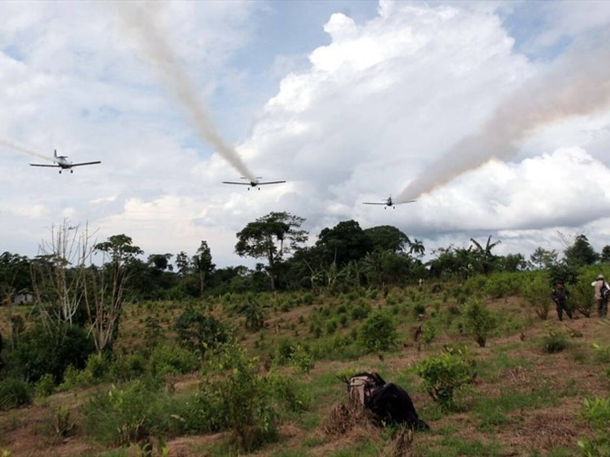 General Alberto Mejía es partidario del regreso de aspersiones con glifosato
