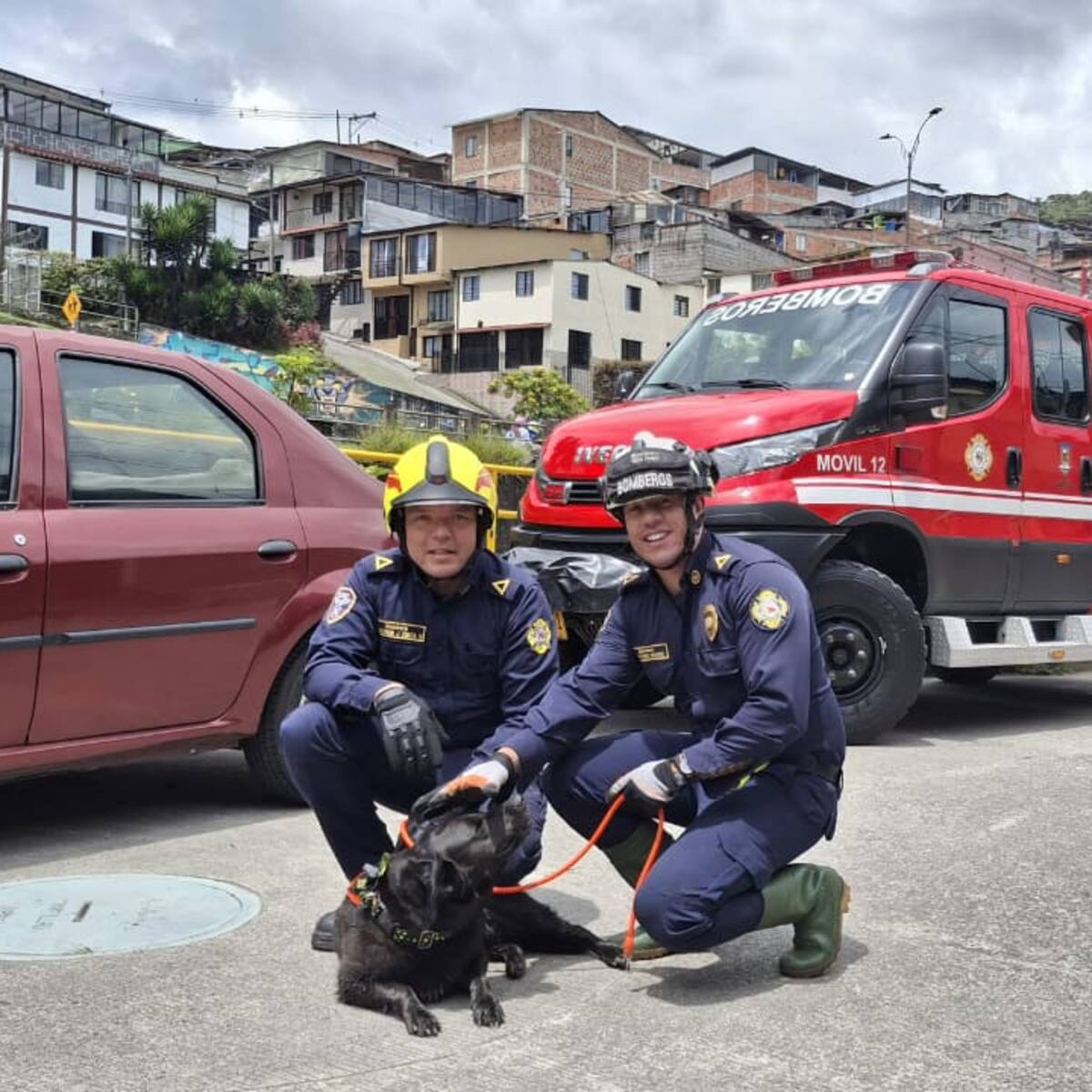 Valiente labor de los bomberos de Manizales da como resultado el rescate de dos perros en peligro