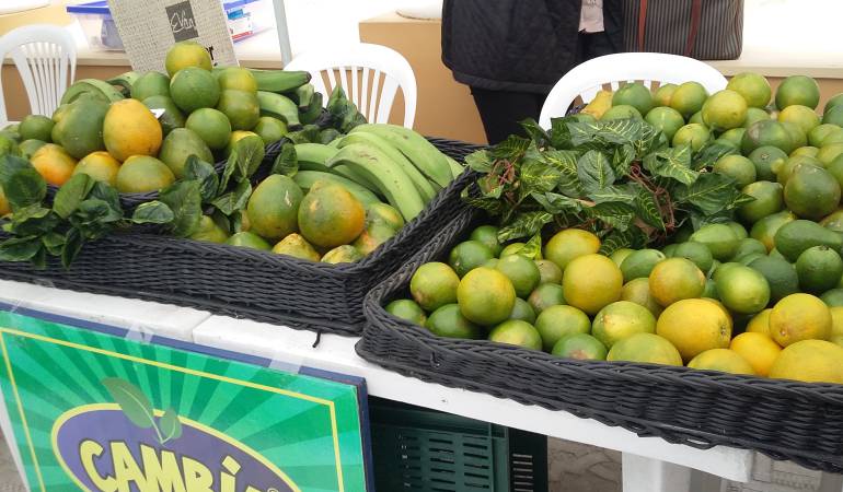 Productos cultivados en Caldas