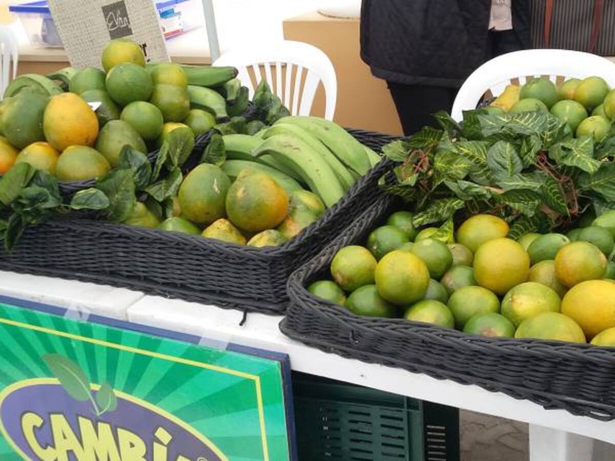 Lluvia empieza a afectar los productos del agro en Caldas