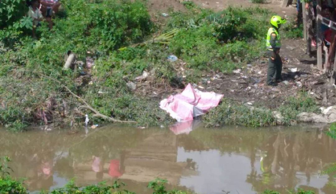 Imagen de referencia