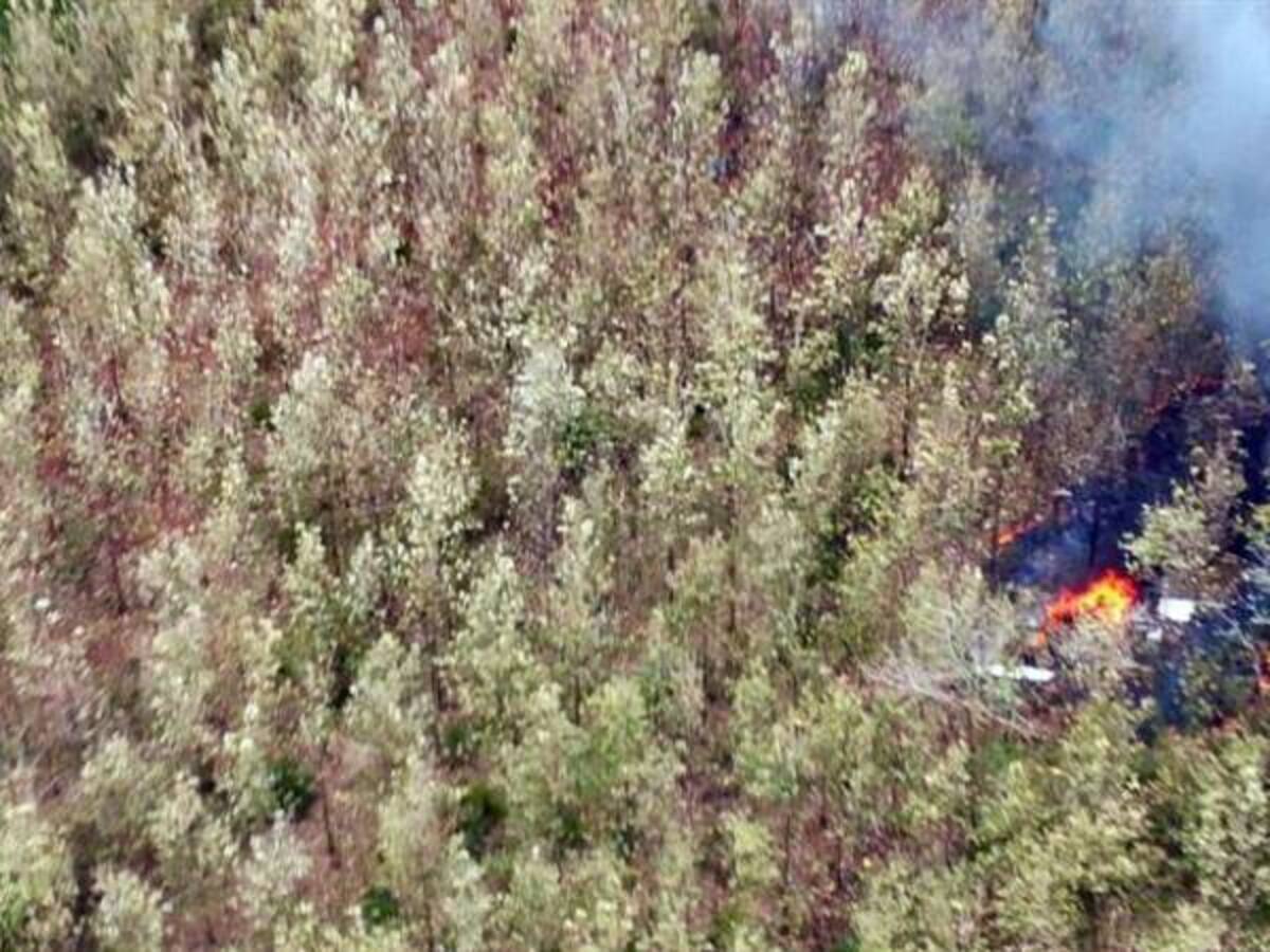 Avioneta con 12 pasajeros se estrella en Costa Rica